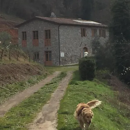 La Difesa San Romano (Lucca)
