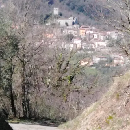 La Difesa *